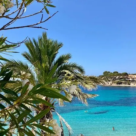 Apartment Studio Bandol Bandol